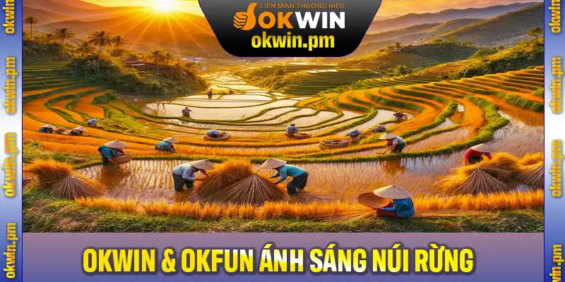 Okwin Và Okfun Ánh Sáng Núi Rừng – Thắp Sáng Niềm Tin Cho Bản Làng