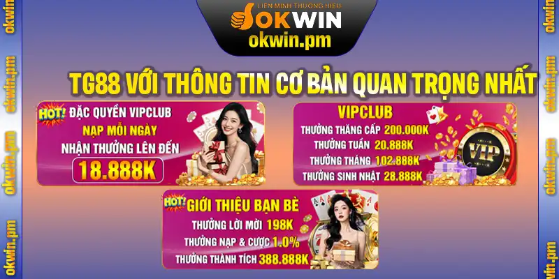 Giới thiệu TG88 với thông tin cơ bản quan trọng nhất