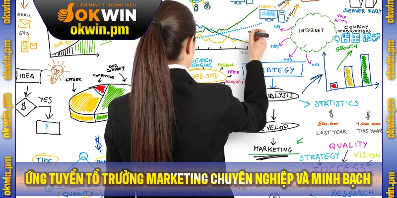 Ứng viên sẽ được trải nghiệm quy trình tuyển chọn chuyên nghiệp và minh bạch