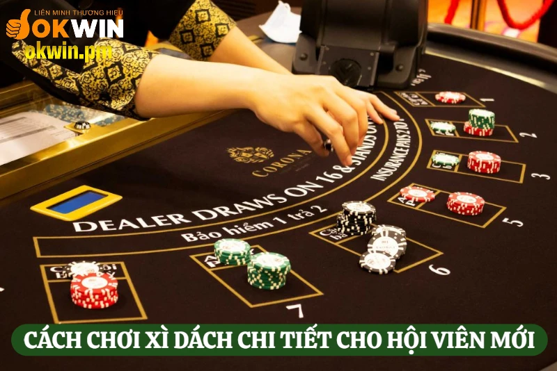 cach-choi-xi-dach-chi-tiet-cho-hoi-vien-moi